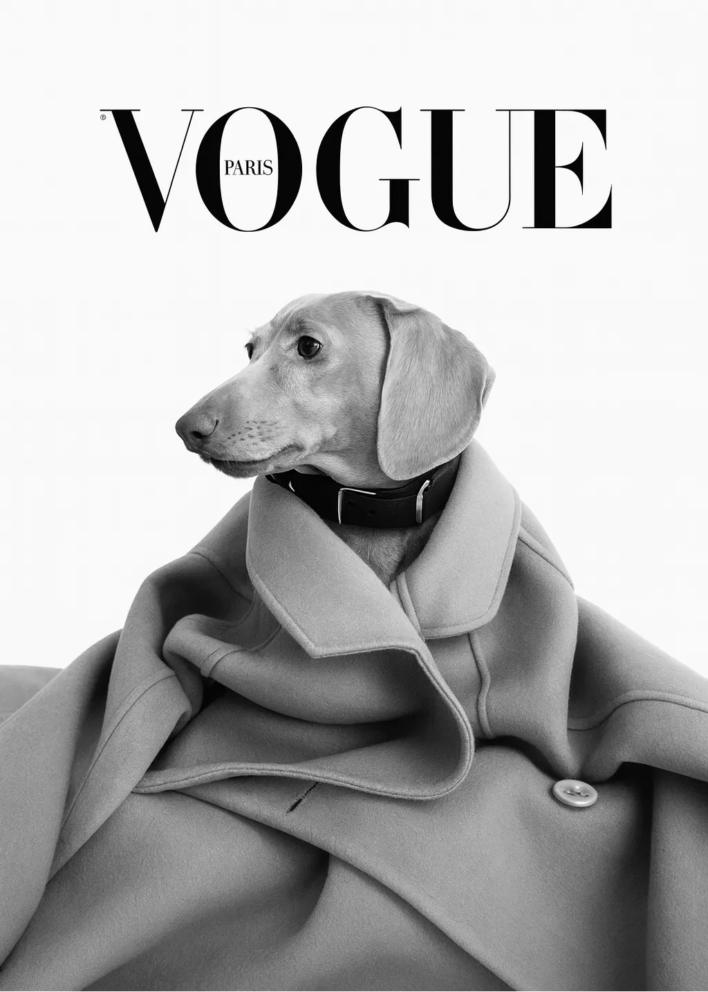 Haute Dog
