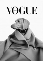 Haute Dog